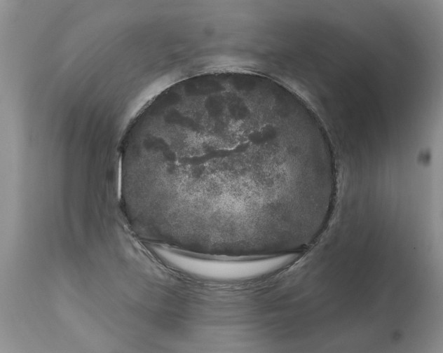 X0000113611219200910021757