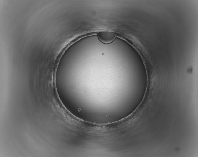 X0000113611220200910021757