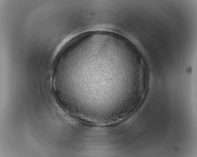 X0000113611224200910021757