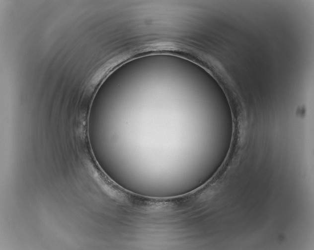 X0000113611225200910021757