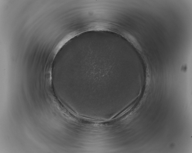 X0000113611226200910021757