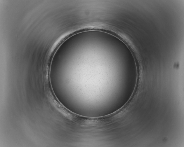 X0000113611232200910021757