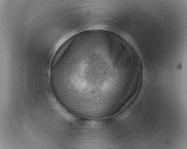 X0000113611234200910021757