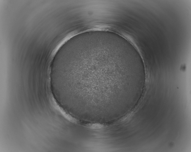 X0000113611235200910021757