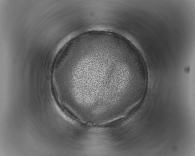 X0000113611237200910021757