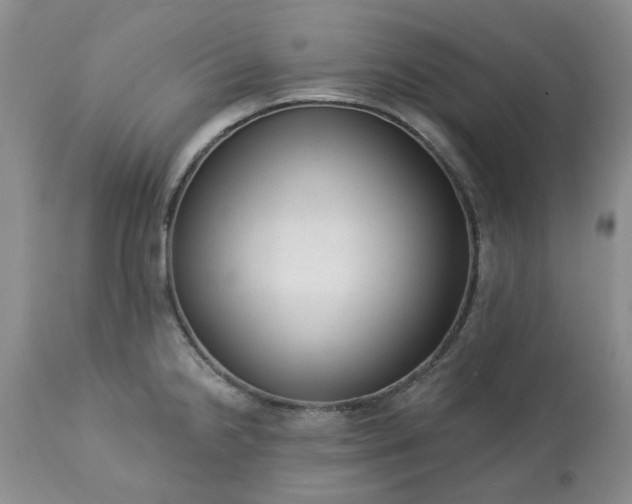 X0000113611238200910021757