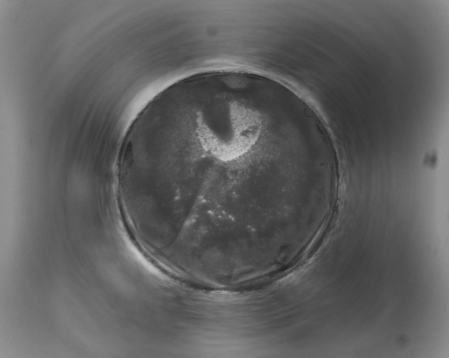 X0000113611239200910021757