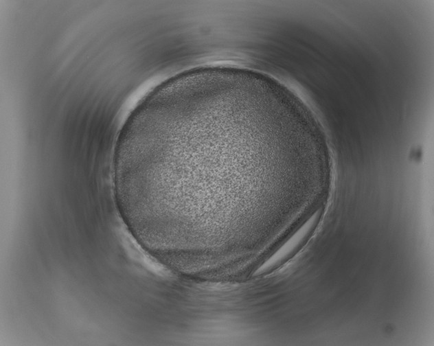 X0000113611240200910021757