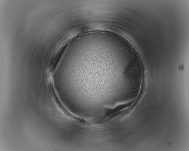 X0000113611241200910021757