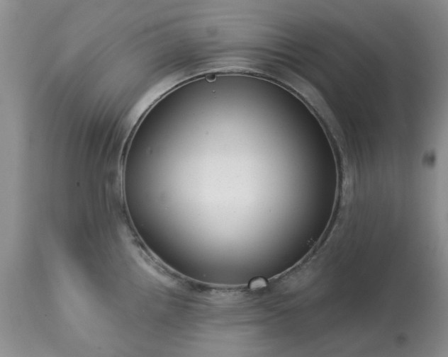 X0000113611242200910021757