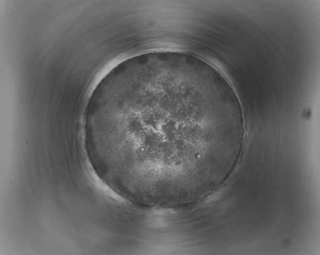 X0000113611243200910021757