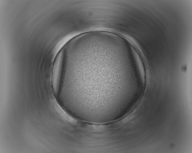 X0000113611244200910021757