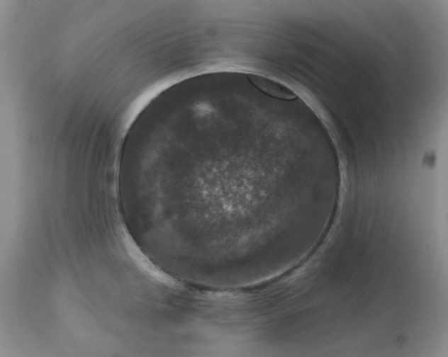 X0000113611246200910021757