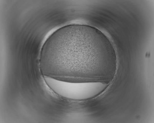 X0000113611248200910021757