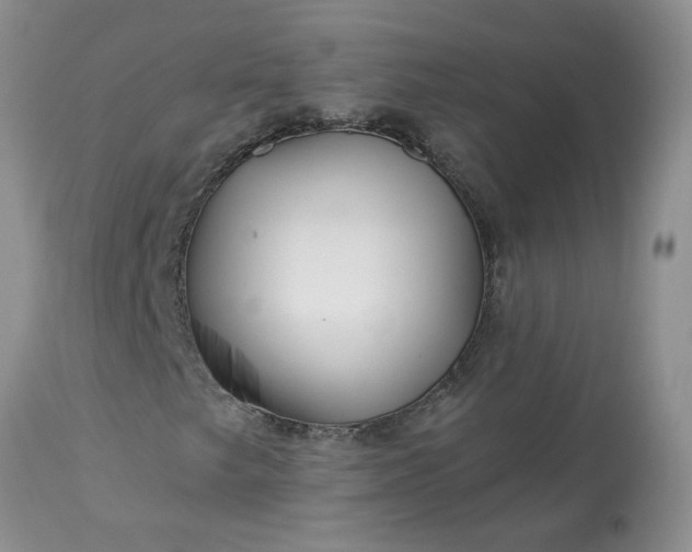 X0000113611249200910021756