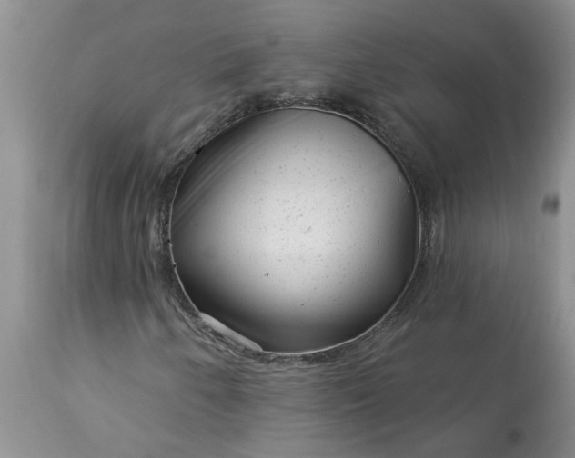 X0000113611250200910021756