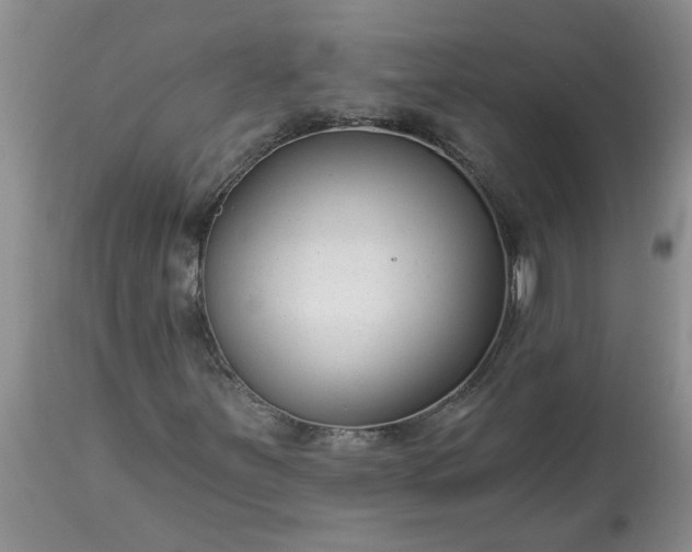 X0000113611251200910021756