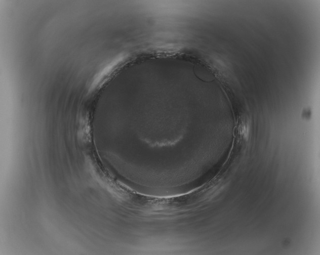 X0000113611252200910021756