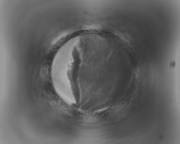 X0000113611254200910021756