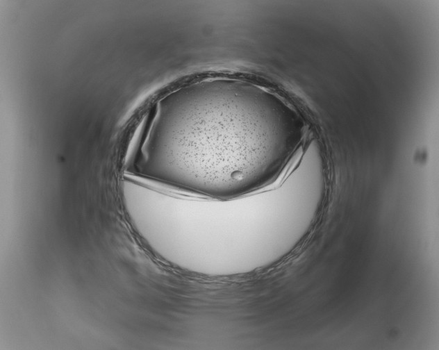 X0000113611256200910021756