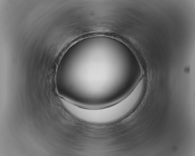 X0000113611257200910021756