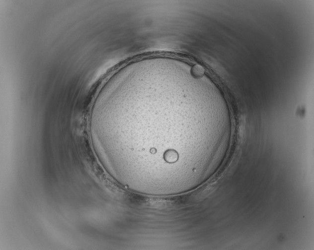 X0000113611258200910021756