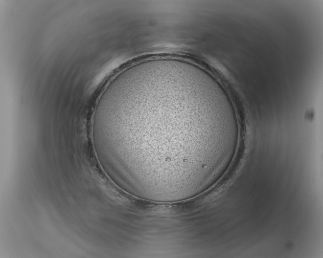 X0000113611259200910021756