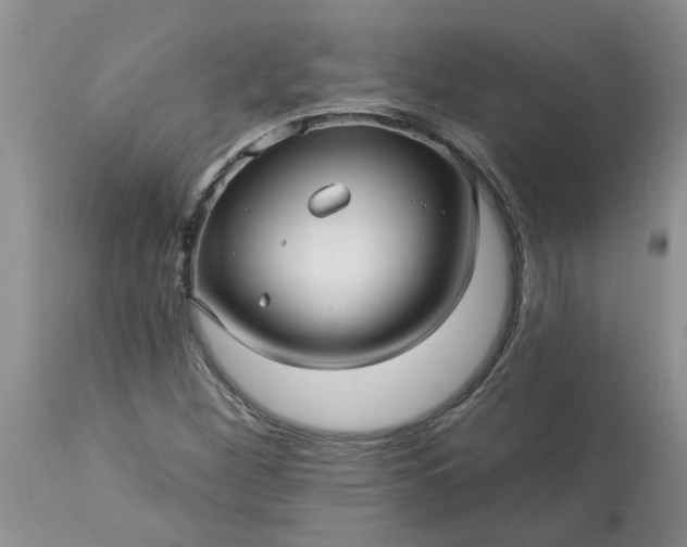 X0000113611260200910021756