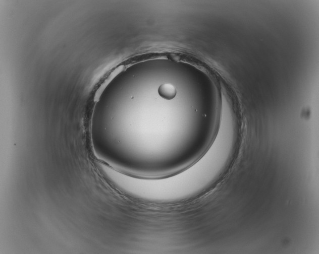 X0000113611261200910021756