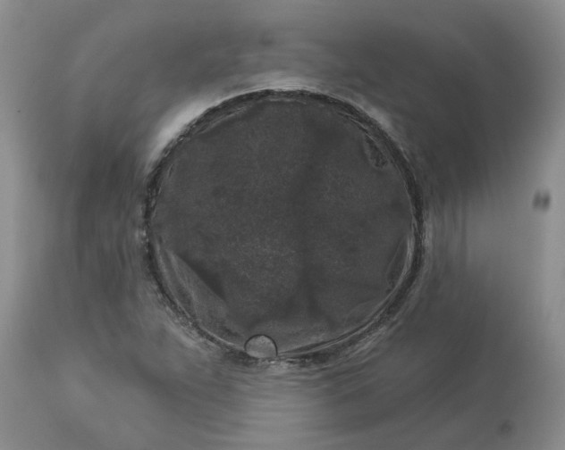 X0000113611263200910021756