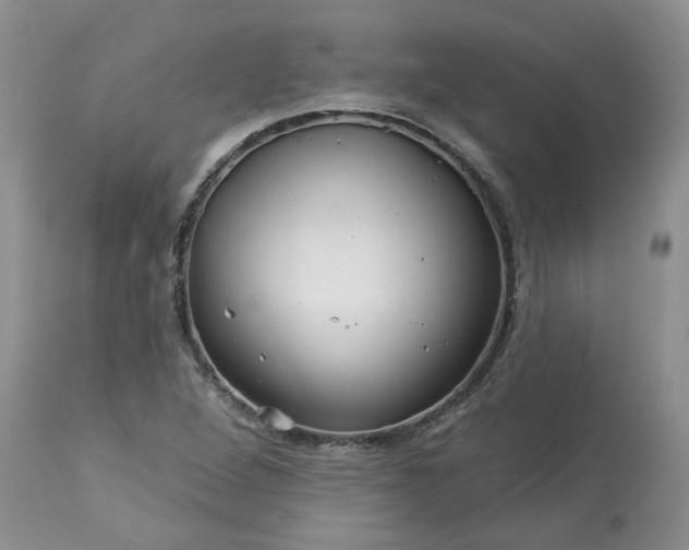 X0000113611264200910021756