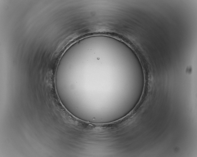 X0000113611265200910021756