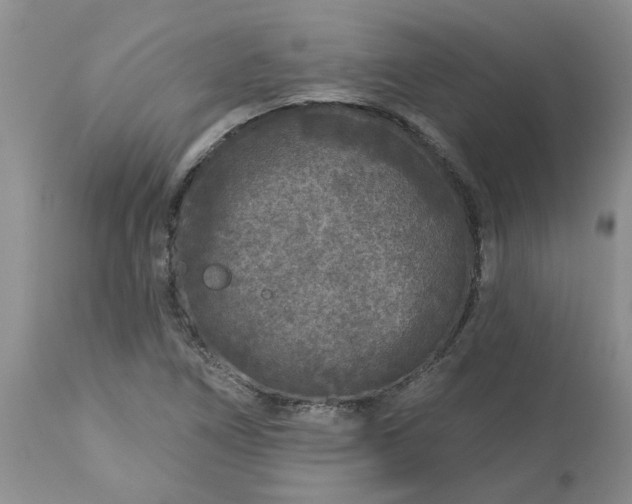 X0000113611266200910021756