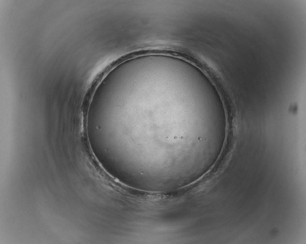 X0000113611267200910021756