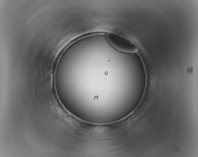 X0000113611268200910021756