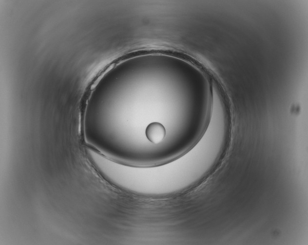 X0000113611269200910021756