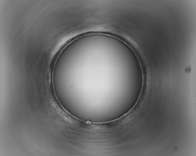 X0000113611270200910021756