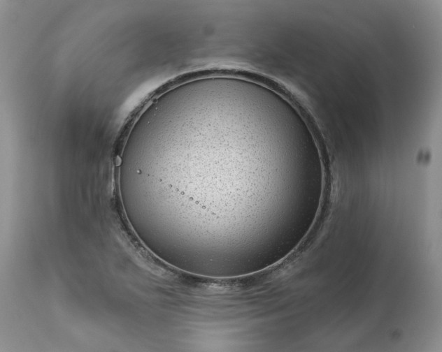 X0000113611271200910021756