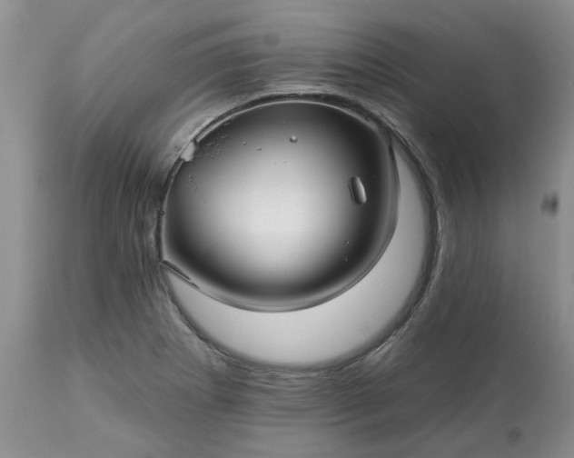 X0000113611273200910021756