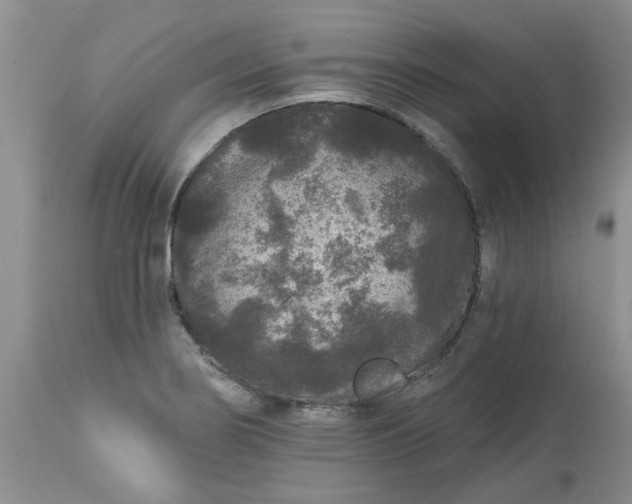 X0000113611274200910021756