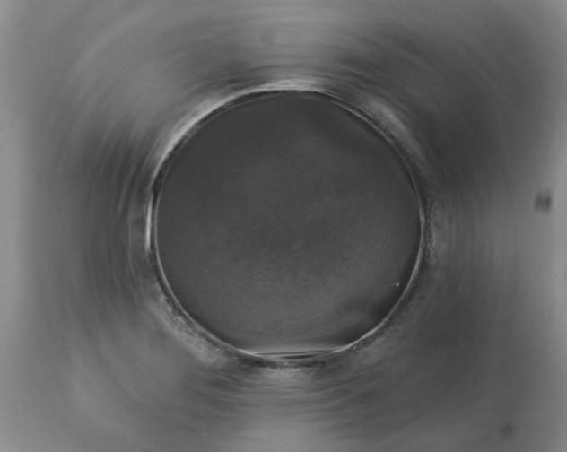 X0000113611276200910021756