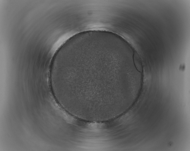 X0000113611277200910021756