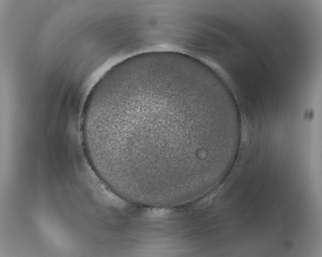 X0000113611278200910021756