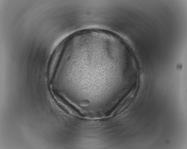 X0000113611279200910021756