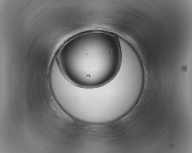 X0000113611280200910021756