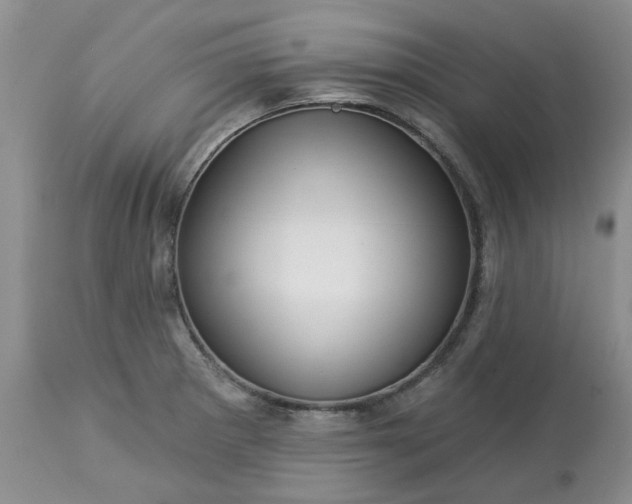 X0000113611281200910021756