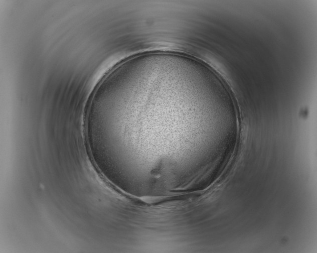 X0000113611283200910021756