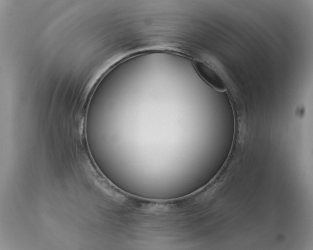 X0000113611284200910021756