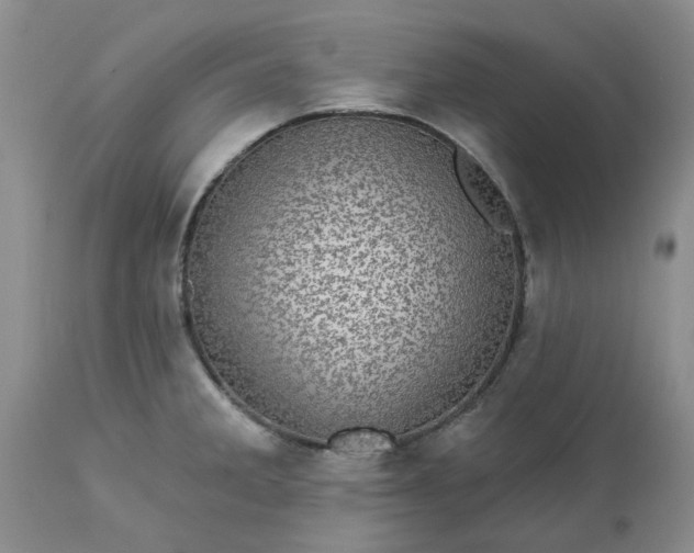 X0000113611285200910021756