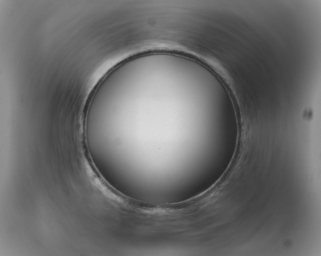 X0000113611287200910021756